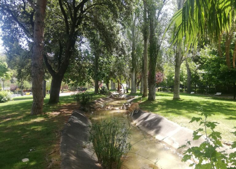 Els singulars jardins de William Shakespeare i de la plaça Eusebi Güell a Pedralbes