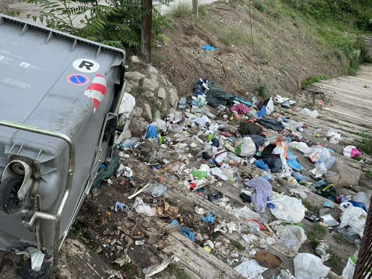 Veïns de les Planes tornen a reclamar una solució al bolcatge de contenidors per part dels senglars