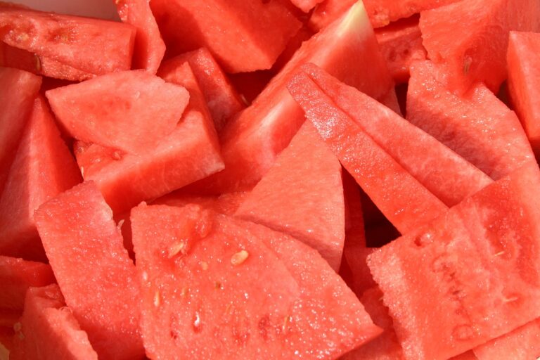 Els usos de la síndria, una fruita estiuenca