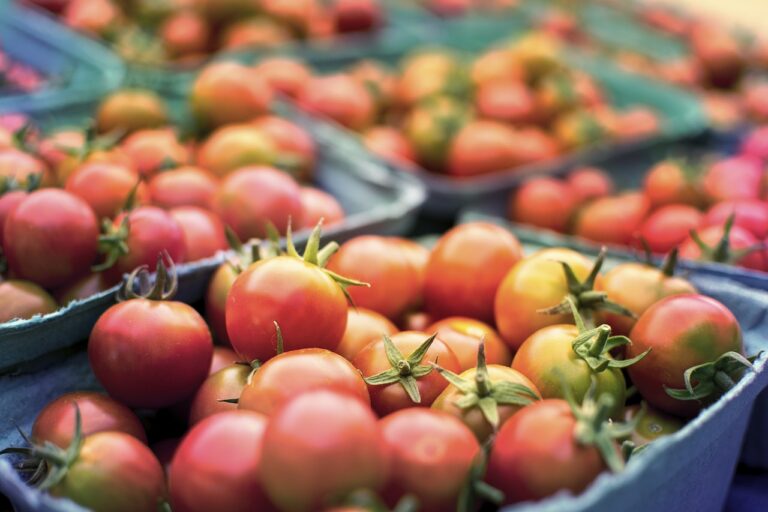 Què ha de tenir un cistell bàsic de la compra i com reduir la despesa en alimentació?