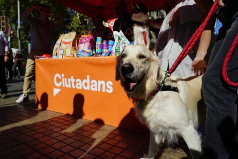 Joves de Ciutadans recullen material per a la Lliga de Protecció d’Animals a Barcelona