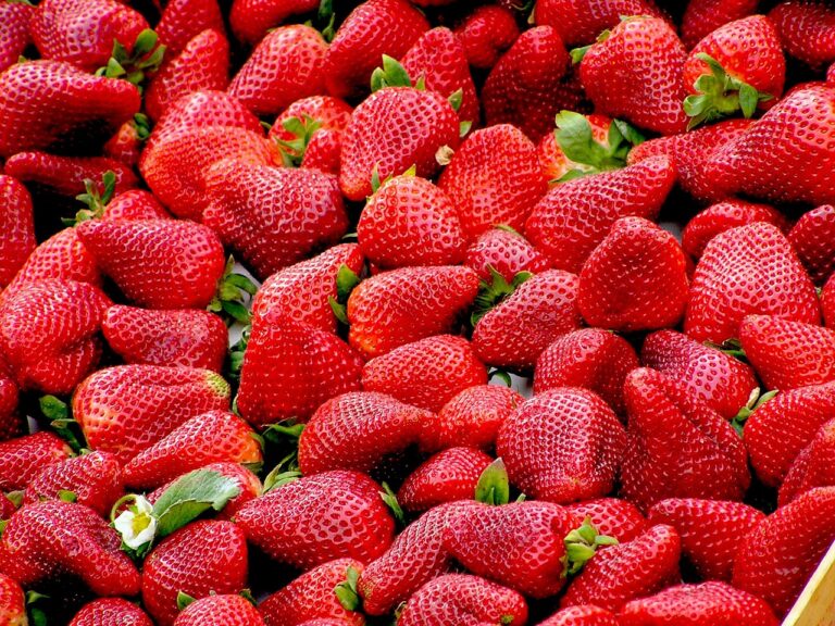 Els mites alimentaris més habituals els últims anys