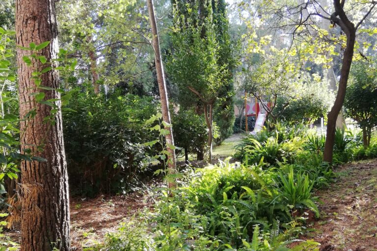 Els jardins de Rubió i Tudurí a Pedralbes, un homenatge a una figura clau en la jardineria