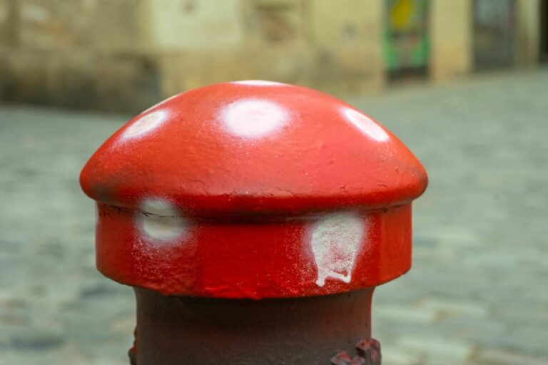 Apareixen pintades en forma de bolet a la plaça de Sant Vicenç