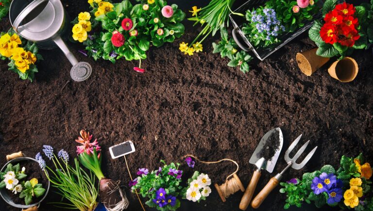 Com preparar un jardí amb plantes i flors?