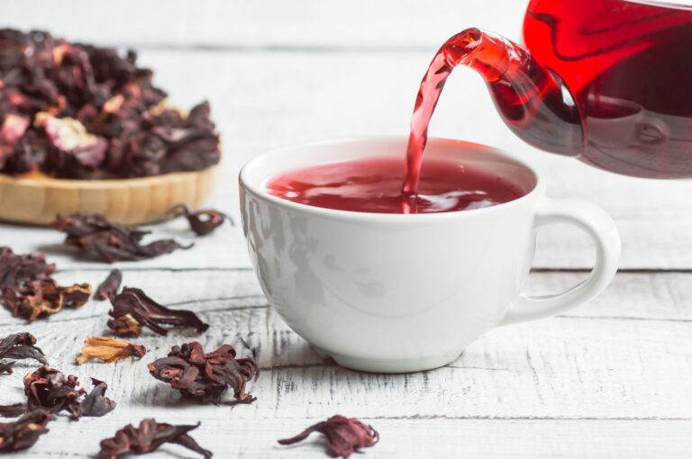 L’hibisc o rosa de Jamaica, un antioxidant natural