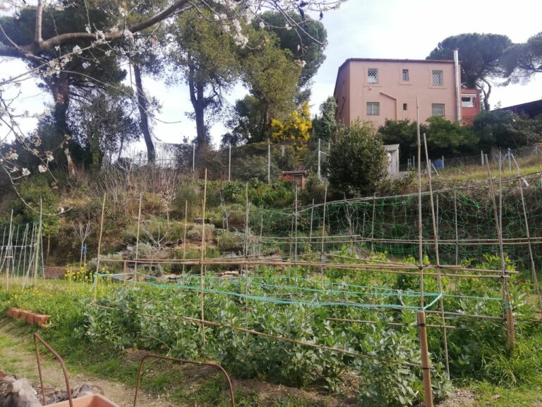 Els jardins de la Fundació Aspasim a Vallvidrera: caràcter rural sobre les restes d’un passat burgès