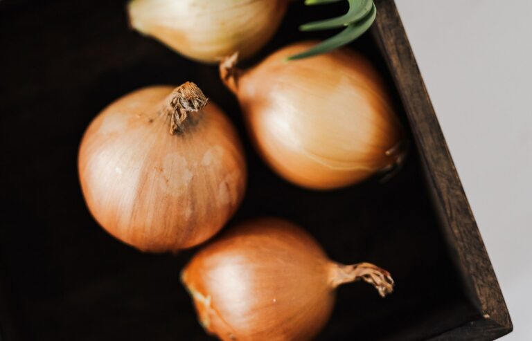 La ceba, una de les hortalisses més sanes