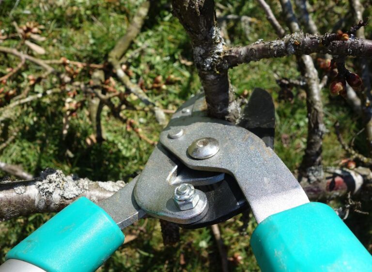 L’Ajuntament posa en marxa un servei gratuït de recollida de restes vegetals als barris de muntanya
