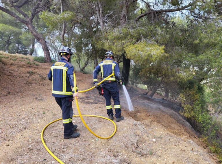Conservar el bosc i prevenir els incendis: dos objectius irrenunciables al parc natural de Collserola