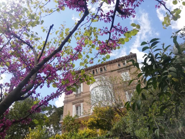 Els jardins del palauet d’Orsà a Vallvidrera, un indret per a somiar en altres temps