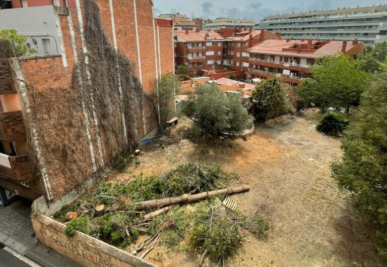 Comencen a talar arbres a Can Raventós per a construir-hi pisos de luxe