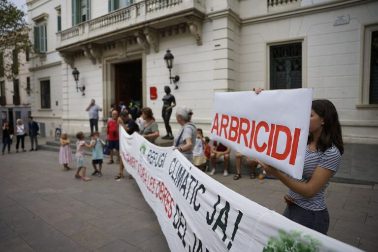 Can Raventós Consell Plenari