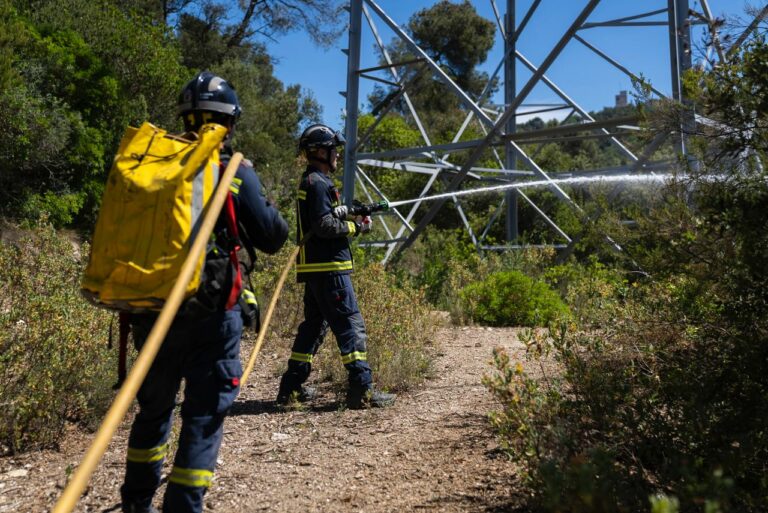 Investigadors recomanen recuperar antics conreus a Collserola per evitar incendis