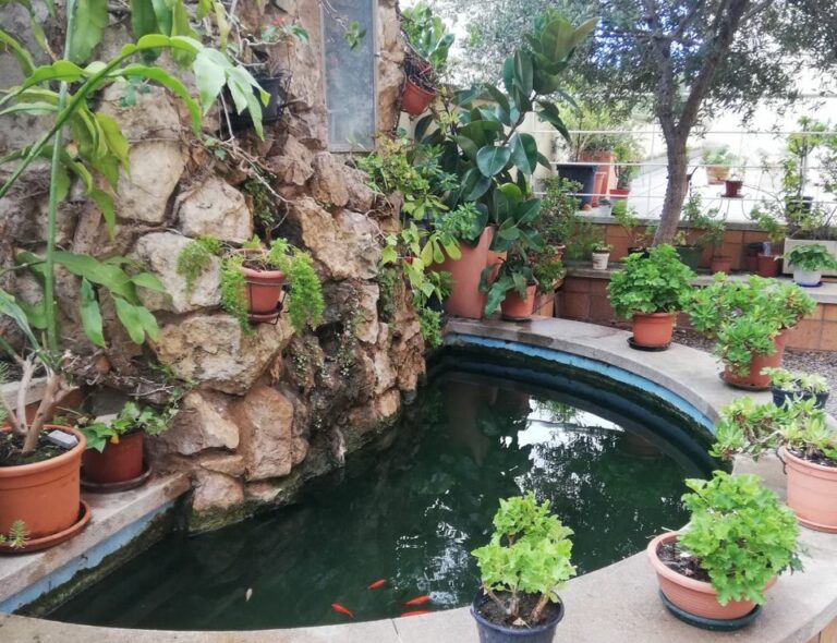 Els jardins de l’antic convent de Sant Ignasi de Loiola, un bonic espai amb arbres centenaris