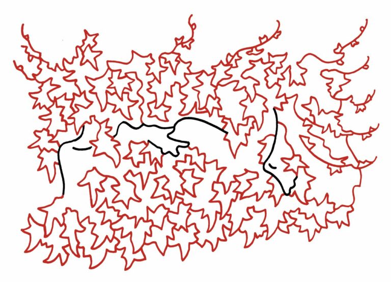 ‘Soc heura’, un relat d’Elsa Corominas per als lectors d’El Jardí