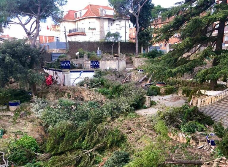 Així ha quedat el jardí històric de la torre Villa Maria de Vallvidrera on es volen construir tres cases