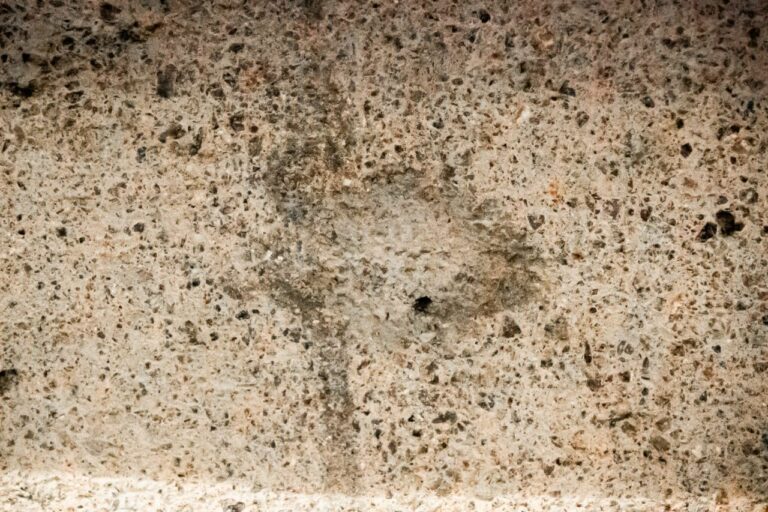 Restes fòssils en façanes de Sarrià-Sant Gervasi: només cal educar l’ull per a veure-les