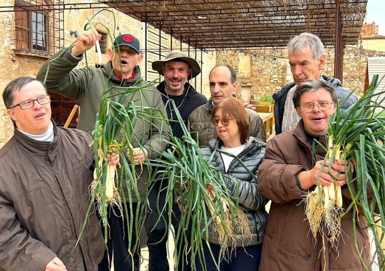 L’hort medieval del Monestir de Pedralbes dona els primers calçots de la temporada