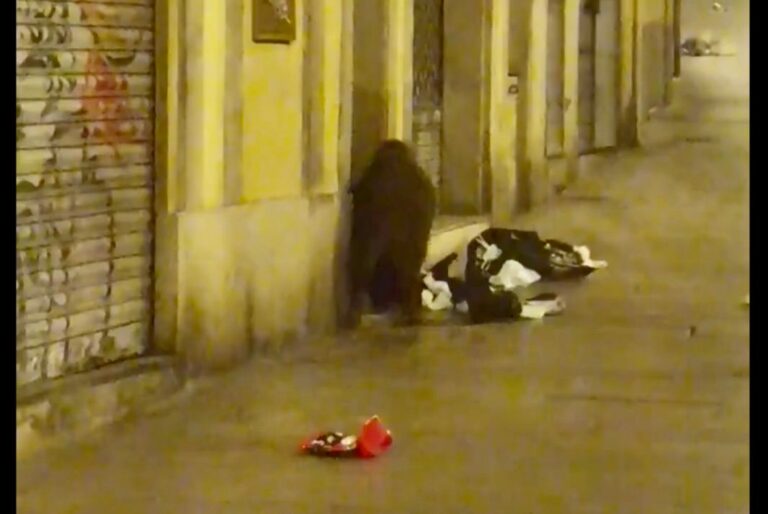 Un senglar fa la recollida porta a porta al carrer Major de Sarrià a primera hora del dia