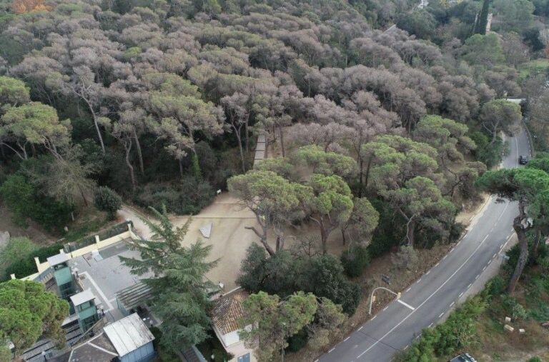 La sequera fa talar 200 arbres morts al Baixador de Vallvidrera dins del Parc Natural de Collserola