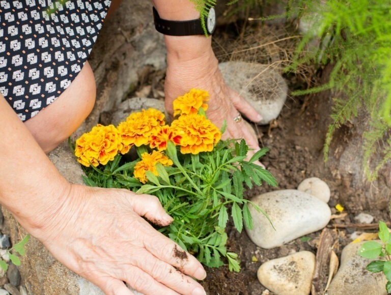 Connectar amb la força, la potència i l’amor per afrontar l’Alzheimer