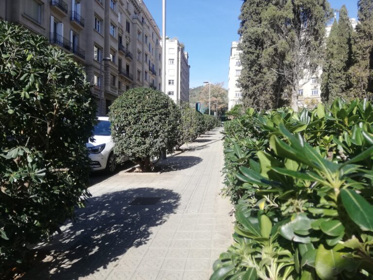 Els jardins de Martí Luter a la Bonanova, un homenatge al teòleg alemany que va inspirar la reforma protestant