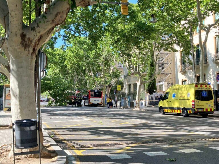 Ensurt a l’avinguda del Tibidabo amb la caiguda d’una branca sobre una moto i un autobús Ensurt a l’avinguda del Tibidabo amb la caiguda d’una branca sobre una moto i un autobús