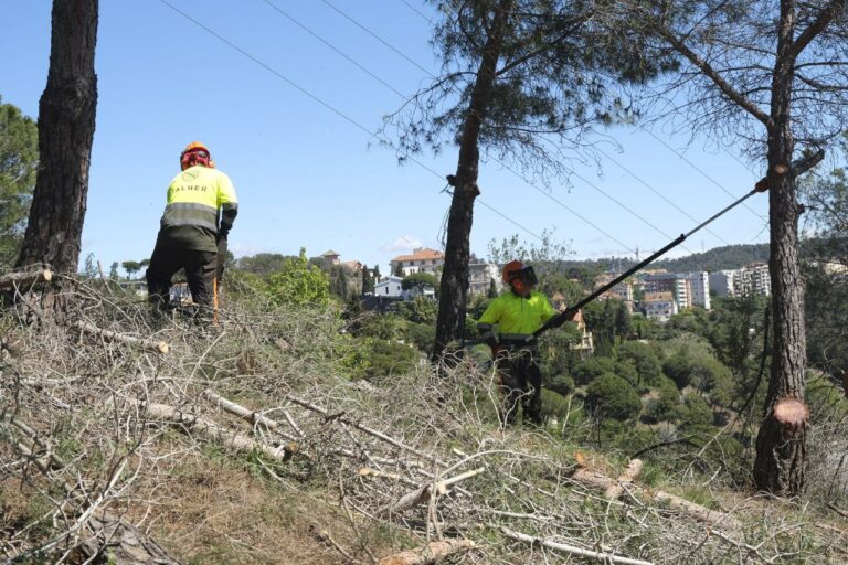 “Collserola en perill” impulsa un manual de prevenció d’incendis forestals