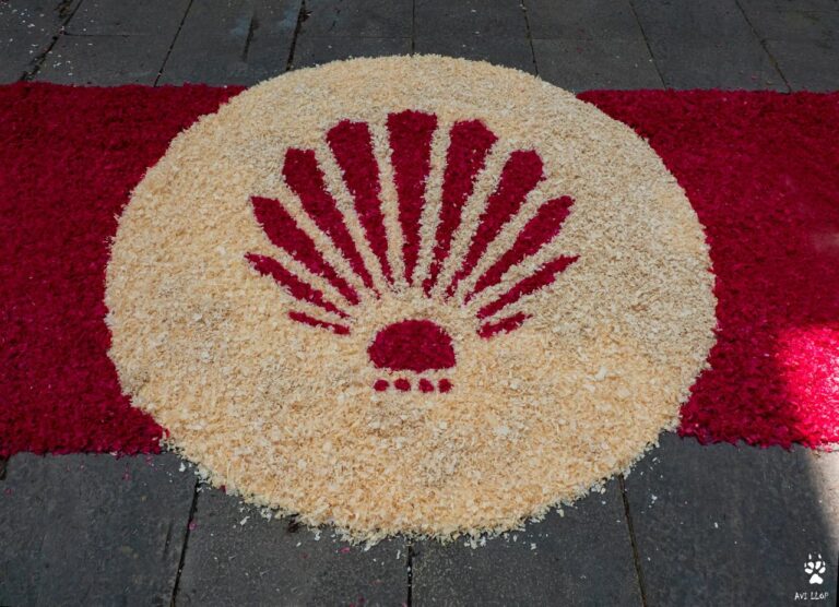 Corpus 2024 a Sarrià-Sant Gervasi: les processons i catifes florals