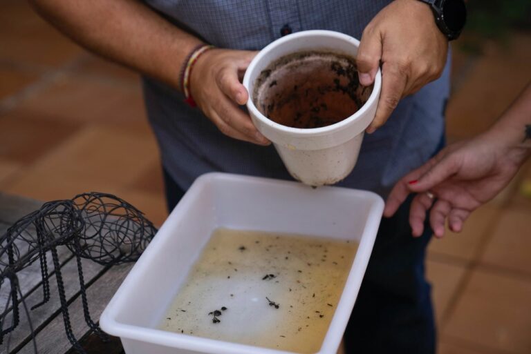 Els sis punts crítics amb més mosquits als barris de Sarrià-Sant Gervasi Els sis punts crítics amb més mosquits als barris de Sarrià-Sant Gervasi