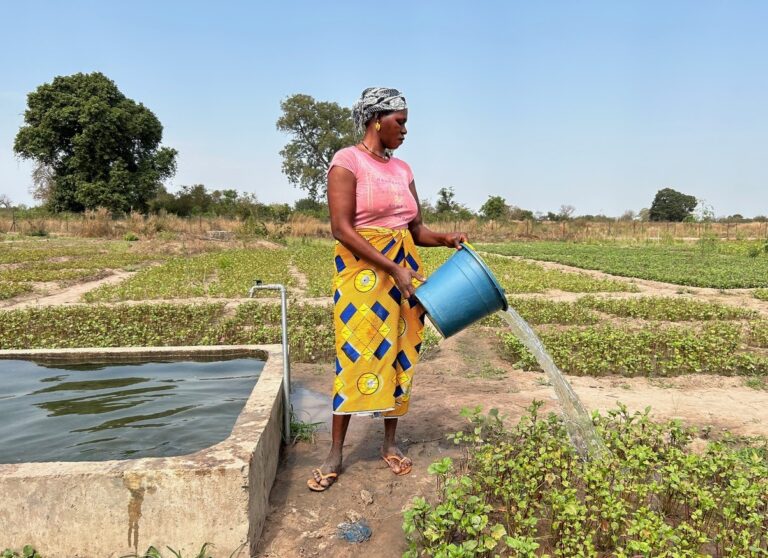 La Fundació Guné celebra 20 anys al Senegal i el Farró contra la pobresa i la desigualtat de gènere La Fundació Guné celebra 20 anys al Senegal i el Farró contra la pobresa i la desigualtat de gènere