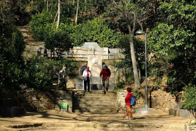 El parc de la Font del Racó als peus del Tibidabo no es reobrirà al públic fins al 2025 o 2026