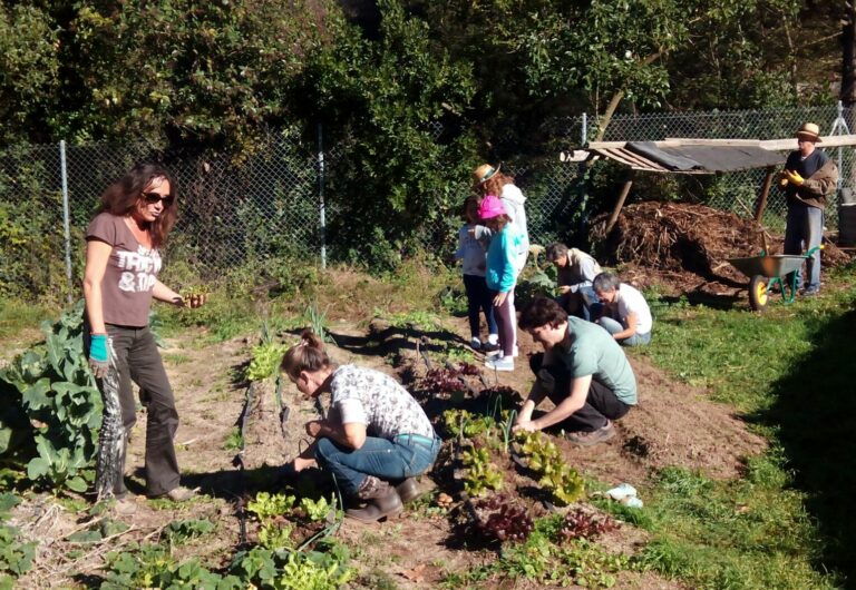 El nou hort comunitari de Sarrià busca impuls a través del micromecenatge