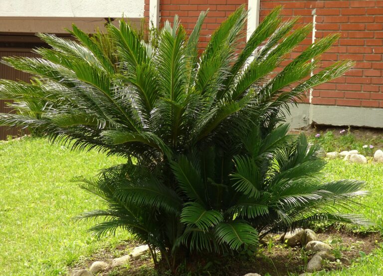 ​​Les grans extincions i el seu paper en l’evolució de la vida
