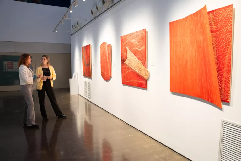 El Pere Pruna obre una convocatòria per escollir els artistes que s’exposaran el 2026