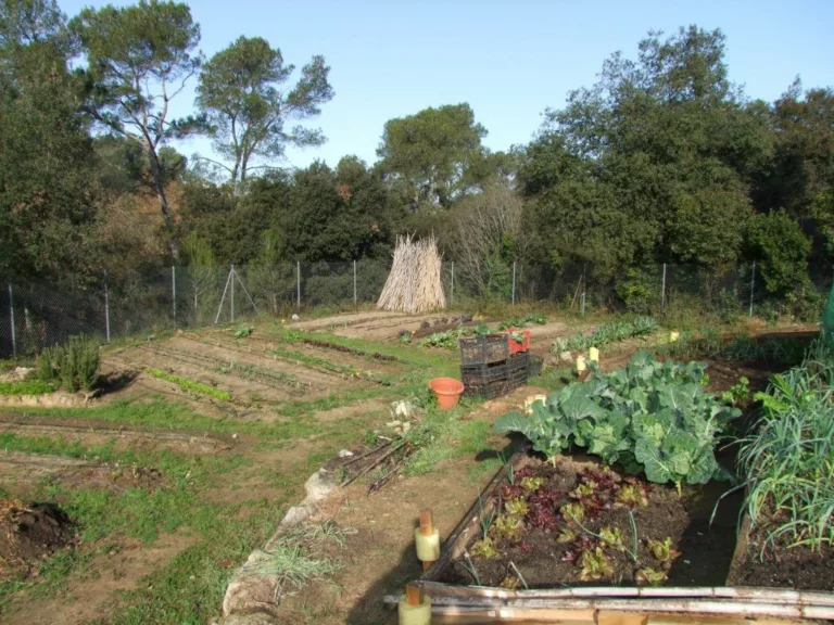 L’Ajuntament obre una convocatòria per conrear els horts urbans de Collserola i Can Pujades