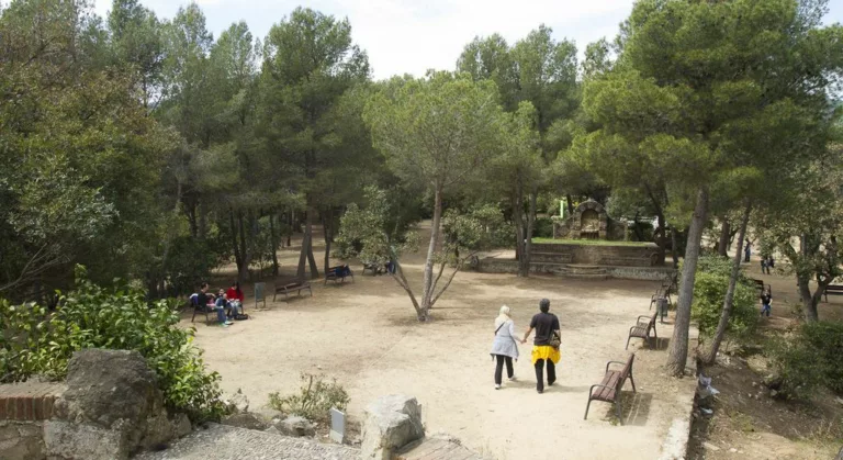 El Govern de Collboni rebutja catalogar el Parc de l’Oreneta com reclamava Junts
