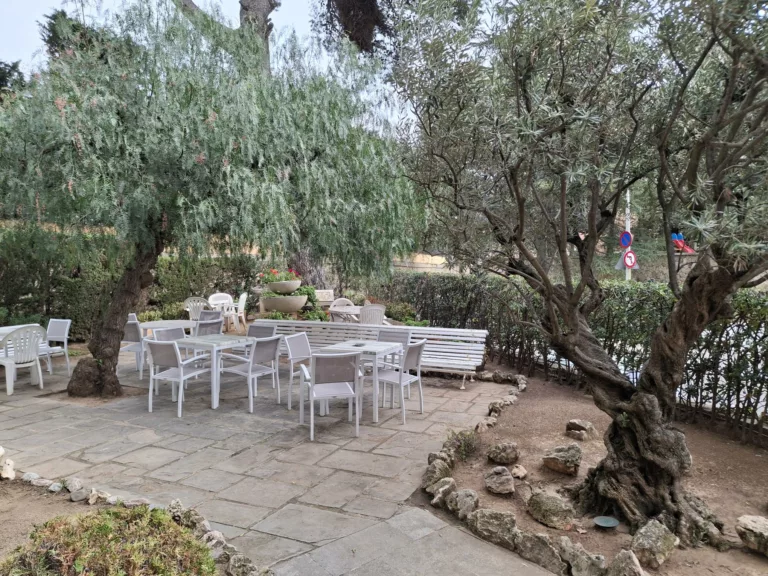 Els Jardins de la Residència Immaculada de Pedralbes, 1.000 m² d’una gran varietat d’espècies vegetals mediterrànies