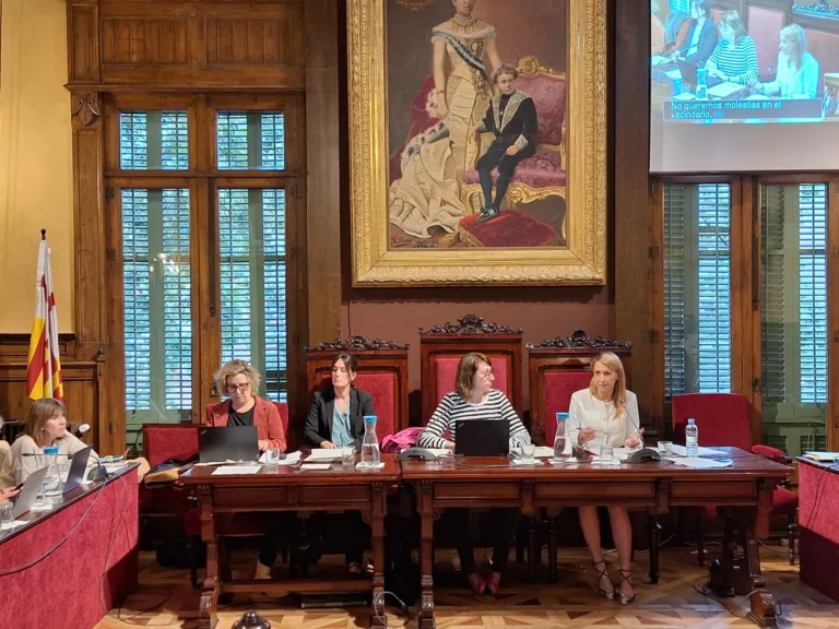 Consell Plenari: estat de les obres i proposicions debatudes