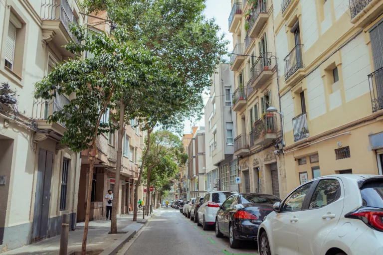 Desmantellat un club cannàbic il·legal que venia droga a menors al carrer Sagués