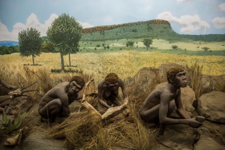 Els primers artesans: quan els humans van començar a construir eines?