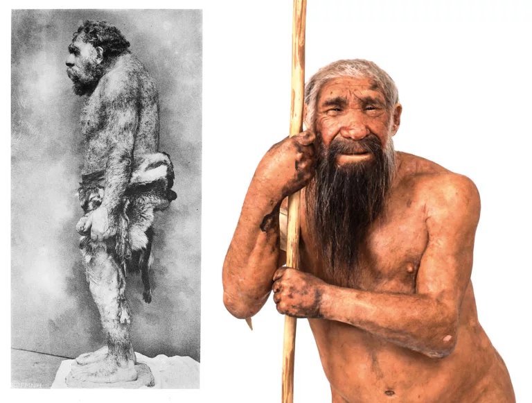 El llegat invisible dels neandertals