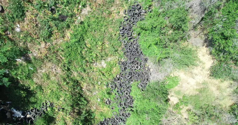 Gairebé un miler de pneumàtics abocats il·legalment a Collserola i un foc gairebé descontrolat fan saltar l’alerta en la vigília de Sant Joan