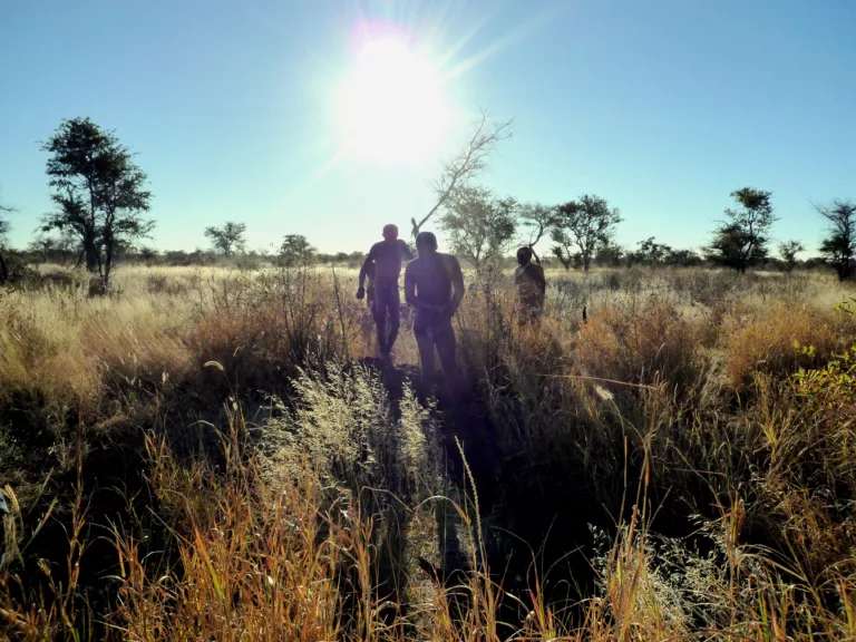 Una branca singular de l’arbre de la vida que ha canviat el món: els Homo sapiens