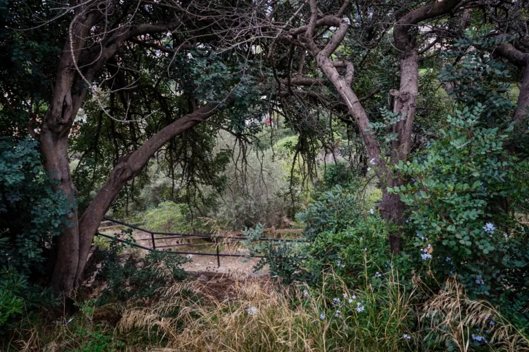 Comencen les obres de millora del Parc de la Font del Racó