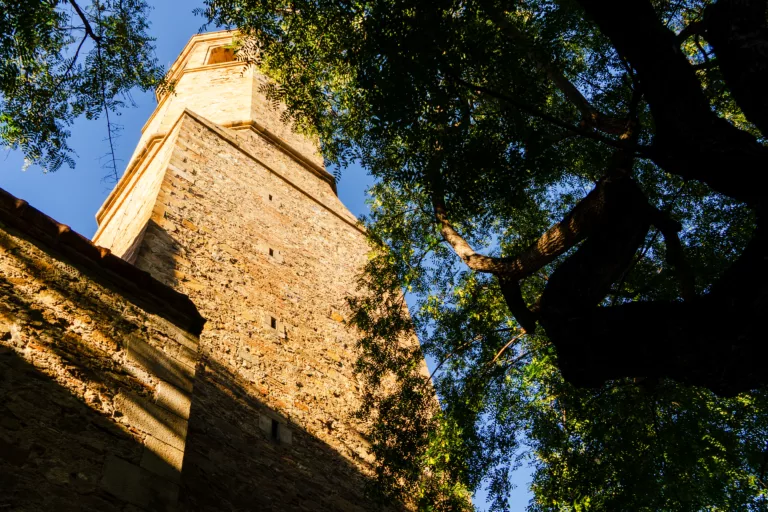 La vegetació del voltant de la parròquia Sant Vicenç de Sarrià