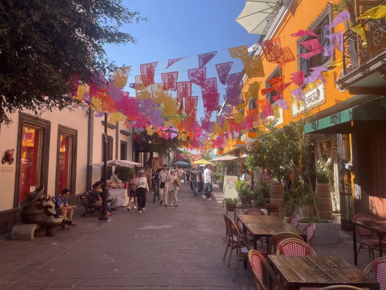 Elsa Corominas a Mèxic i altres aparicions