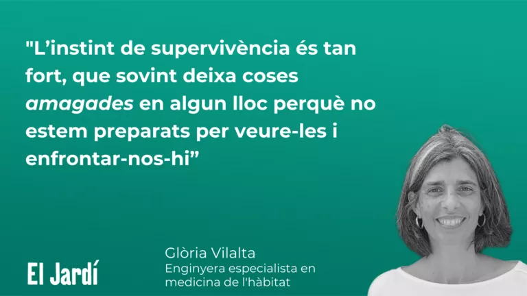 El que amaguen els calaixos