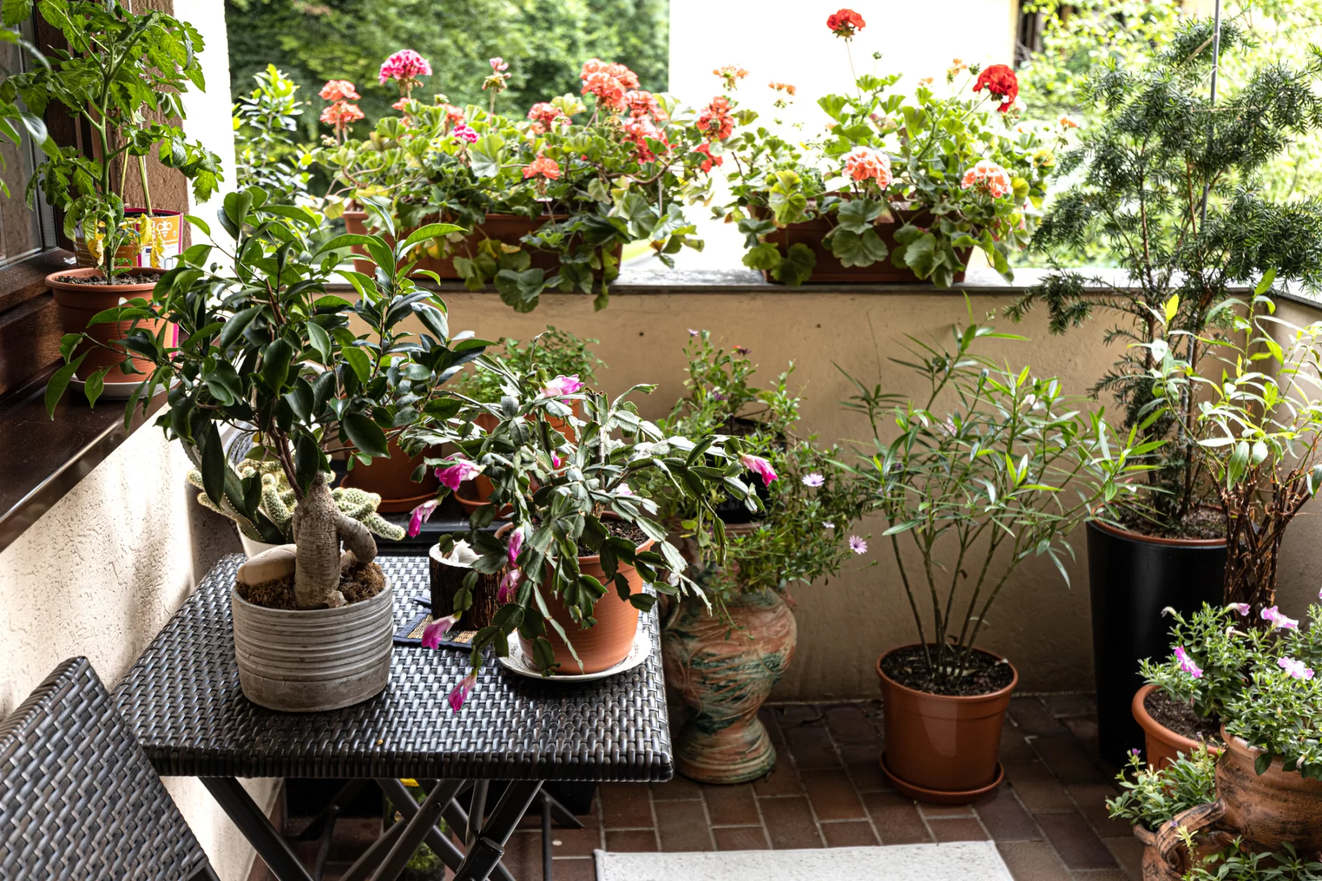 Un balcó a la ciutat amb plantes © Getty Images
